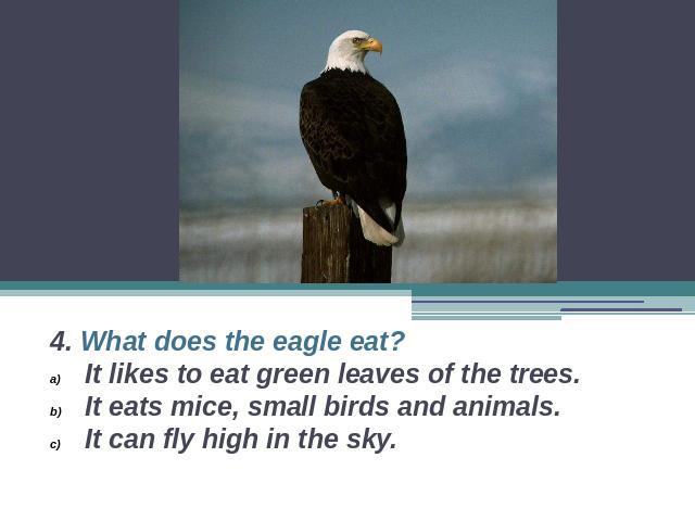 4. What does the eagle eat?It likes to eat green leaves of the trees.It eats mice, small birds and animals.It can fly high in the sky.