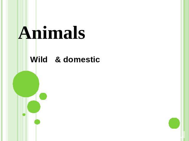 AnimalsWild & domestic