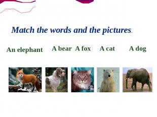 Match the words and the pictures. An elephant A bear A fox A cat A dog