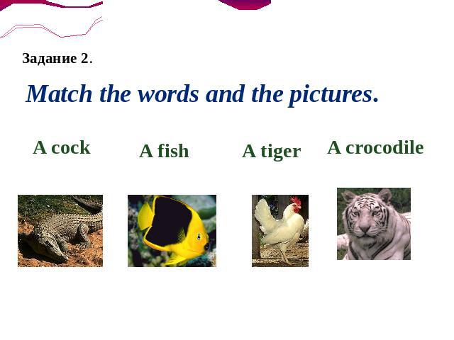 Задание 2. Match the words and the pictures. A cockA fish A tiger A crocodile