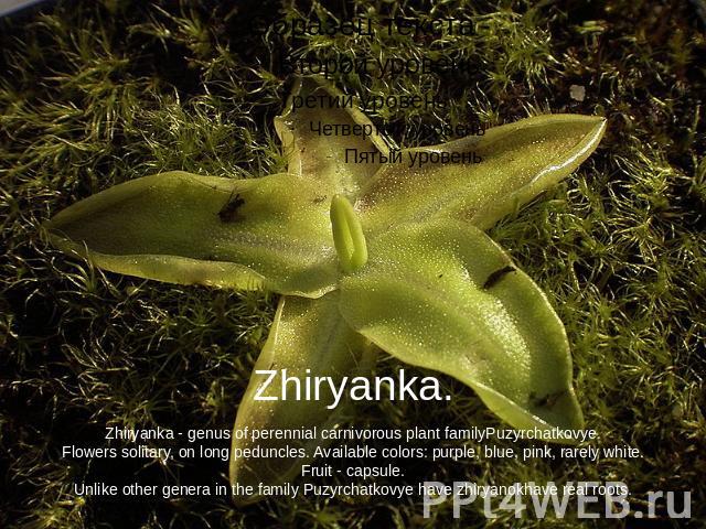 Zhiryanka.Zhiryanka - genus of perennial carnivorous plant familyPuzyrchatkovye.Flowers solitary, on long peduncles. Available colors: purple, blue, pink, rarely white.Fruit - capsule.Unlike other genera in the family Puzyrchatkovye have zhiryanokha…