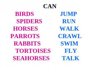 CANBIRDS JUMPSPIDERS RUNHORSES WALKPARROTS CRAWLRABBITS SWIMTORTOISES FLYSEAHORS