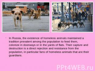 In Russia, the existence of homeless animals maintained a tradition prevalent am