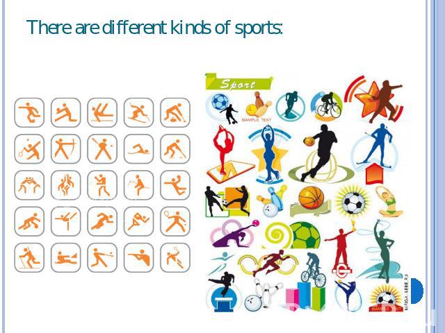 There are different kinds of sports: