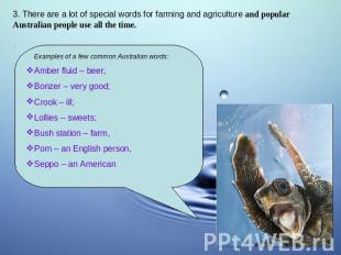 3. There are a lot of special words for farming and agriculture and popular Aust
