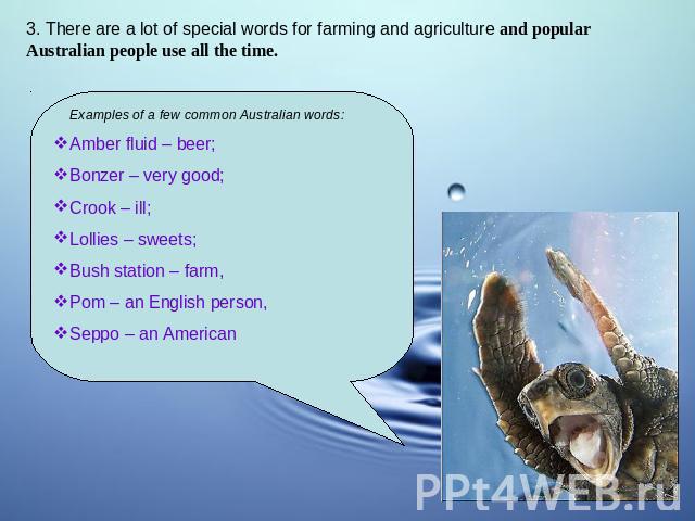 3. There are a lot of special words for farming and agriculture and popular Australian people use all the time. Examples of a few common Australian words: Amber fluid – beer;Bonzer – very good;Crook – ill;Lollies – sweets;Bush station – farm,Pom – a…