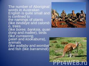 The number of Aboriginal words in Australian English is quite small and is confi