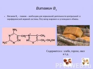 Витамин B1 Витамин B1 – тиамин – необходим для нормальной деятельности центральн