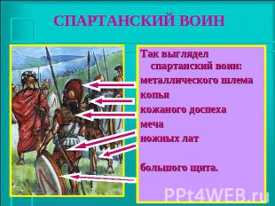 СПАРТАНСКИЙ ВОИН Так выглядел спартанский воин: металлического шлема копья кожан