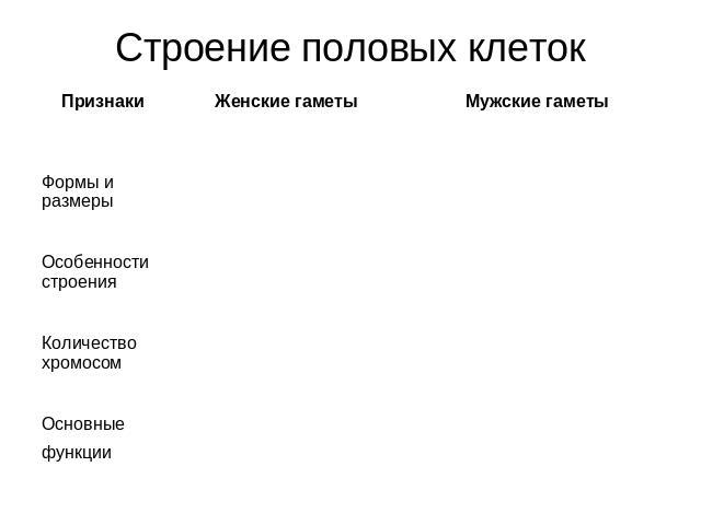 Строение половых клеток