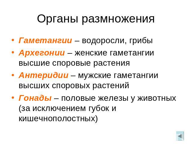 Органы размножения Гаметангии – водоросли, грибы Архегонии – женские гаметангии высшие споровые растения Антеридии – мужские гаметангии высших споровых растений Гонады – половые железы у животных (за исключением губок и кишечнополостных)