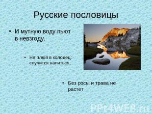 Русские пословицы И мутную воду пьют в невзгоду. Не плюй в колодец: случится нап