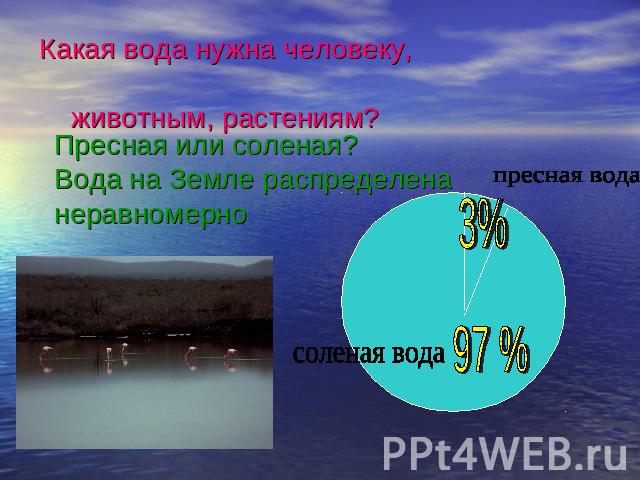 Какая вода нужна человеку, животным, растениям? Пресная или соленая? Вода на Земле распределена неравномерно