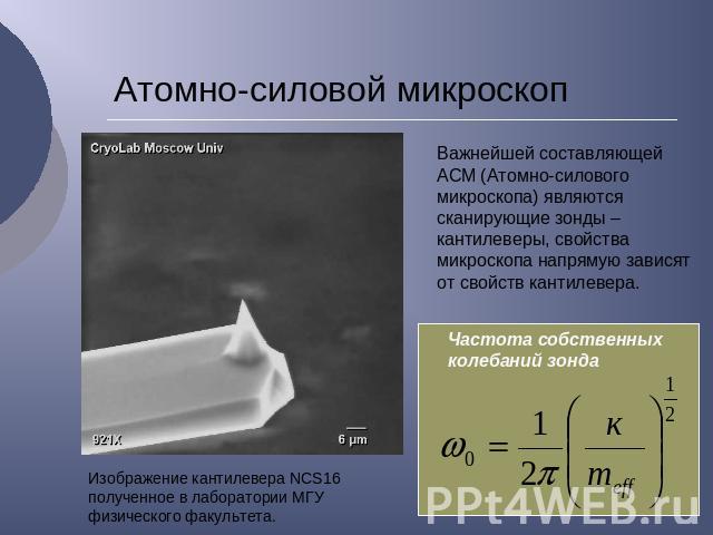 Атомно-силовой микроскоп Важнейшей составляющей AСM (Атомно-силового микроскопа) являются сканирующие зонды – кантилеверы, свойства микроскопа напрямую зависят от свойств кантилевера. Изображение кантилевера NCS16 полученное в лаборатории МГУ физиче…