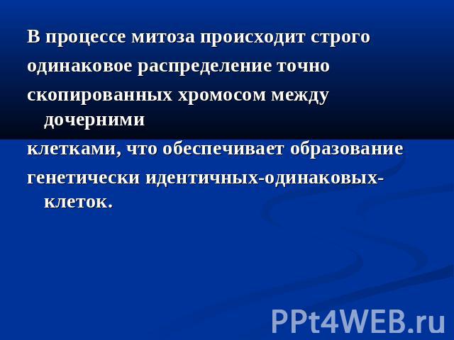 В процессе митоза происходит строго одинаковое распределение точно скопированных хромосом между дочерними клетками, что обеспечивает образование генетически идентичных-одинаковых-клеток.