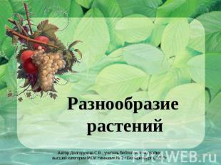 Разнообразие растений Автор Долгорукова С.В., учитель би0логии и географии высше