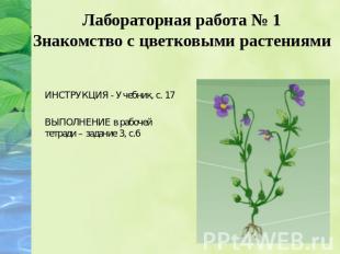 Лабораторная работа № 1 Знакомство с цветковыми растениями ИНСТРУКЦИЯ - Учебник,
