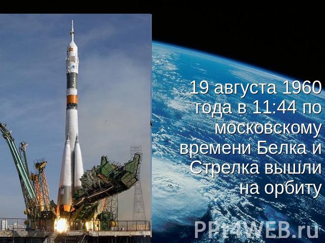 19 августа 1960 года в 11:44 по московскому времени Белка и Стрелка вышли на орбиту 19 августа 1960 года в 11:44 по московскому времени Белка и Стрелка вышли на орбиту