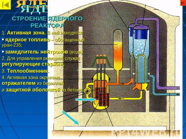 СТРОЕНИЕ ЯДЕРНОГО РЕАКТОРА СТРОЕНИЕ ЯДЕРНОГО РЕАКТОРА 1. Активная зона. В ней находятся: ядерное топливо – обогащенный уран-235; замедлитель нейтронов (вода). 2. Для управления реакцией служат регулирующие стержни. 3. Теплообменник. 4. Активная зона…