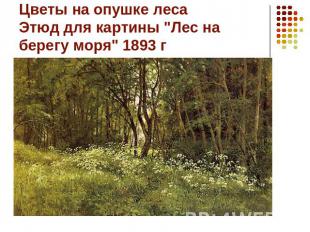 Цветы на опушке леса Этюд для картины &quot;Лес на берегу моря&quot; 1893 г