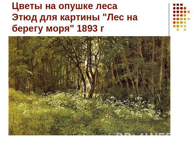 Цветы на опушке леса Этюд для картины "Лес на берегу моря" 1893 г