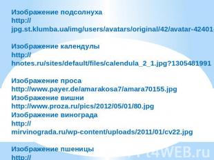 Изображение подсолнуха http://jpg.st.klumba.ua/img/users/avatars/original/42/ava