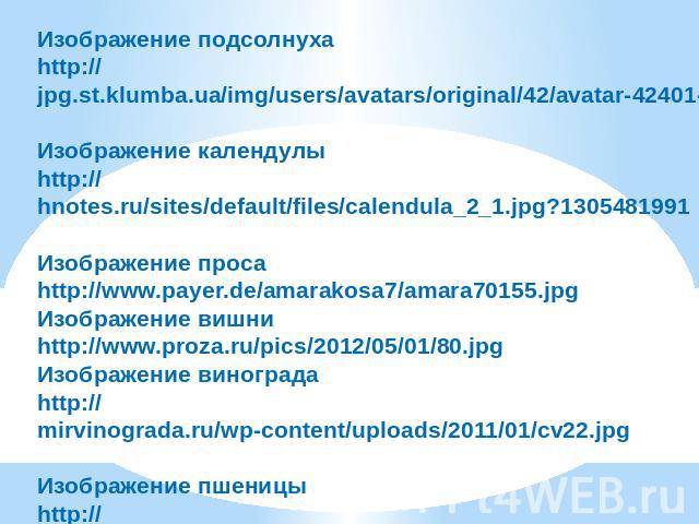 Изображение подсолнуха http://jpg.st.klumba.ua/img/users/avatars/original/42/avatar-42401-20120118191933.jpg Изображение календулы http://hnotes.ru/sites/default/files/calendula_2_1.jpg?1305481991 Изображение проса http://www.payer.de/amarakosa7/ama…