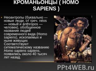 Кроманьонцы ( homo sapiens ) Неоантропы (буквально — новые люди, от греч. néos —