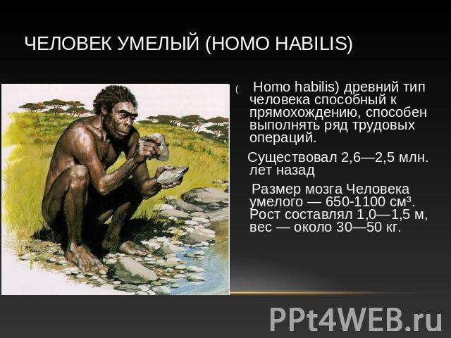 Человек умелый (Homo habilis) ( Homo habilis) древний тип человека способный к прямохождению, способен выполнять ряд трудовых операций. Существовал 2,6—2,5 млн. лет назад Размер мозга Человека умелого — 650-1100 см³. Рост составлял 1,0—1,5 м, вес — …