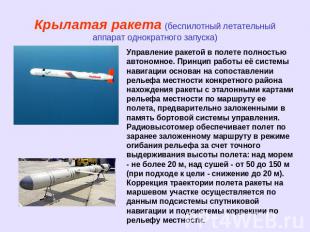 Крылатая ракета (беспилотный летательный аппарат однократного запуска) Управлени