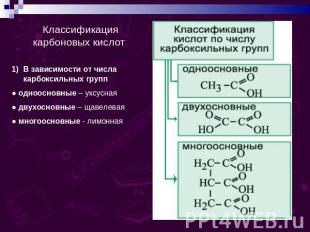 Классификация карбоновых кислот: В зависимости от числа карбоксильных групп ● од