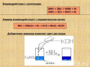 Взаимодействие с галогенами: 2NH3 + 3Br2 = 6HBr + N2 2NH3 + 3Cl2 = 6HCl + N2 Амм