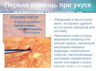 Первая помощь при укусе жалящих насекомых Обнаружив в месте укуса жало, осторожн