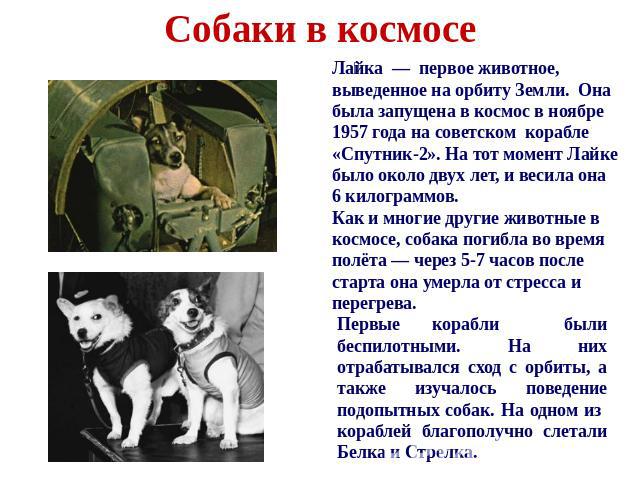 Собаки в космосе Лайка — первое животное, выведенное на орбиту Земли. Она была запущена в космос в ноябре 1957 года на советском корабле «Спутник-2». На тот момент Лайке было около двух лет, и весила она 6 килограммов. Как и многие другие животные в…