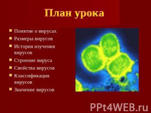 План урока Понятие о вирусах Размеры вирусов История изучения вирусов Строение в