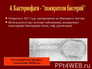 4. Бактериофаги - "пожиратели бактерий" Открыты в 1917 году одновременно во Фран