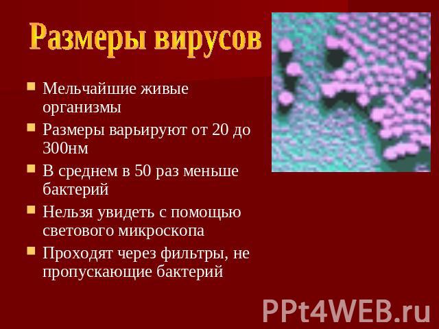Размеры вирусов Мельчайшие живые организмы Размеры варьируют от 20 до 300нм В среднем в 50 раз меньше бактерий Нельзя увидеть с помощью светового микроскопа Проходят через фильтры, не пропускающие бактерий