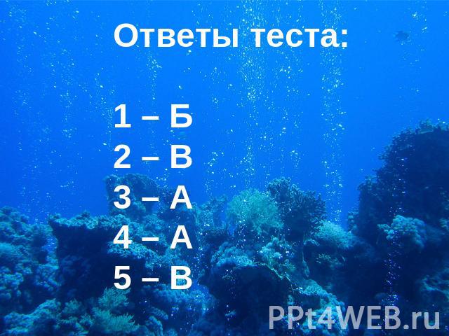 Ответы теста: 1 – Б 2 – В 3 – А 4 – А 5 – В