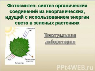 Фотосинтез- синтез органических соединений из неорганических, идущий с использов