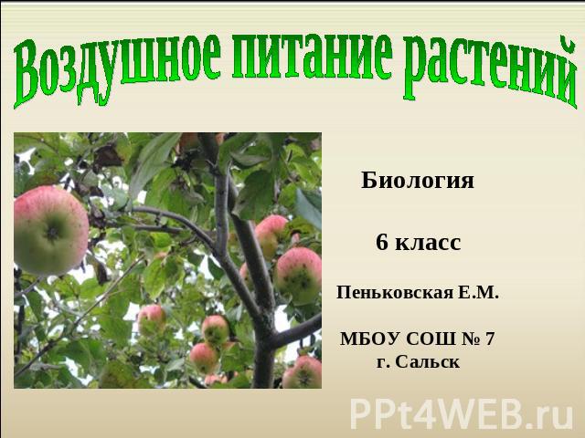 Воздушное питание растений Биология 6 класс Пеньковская Е.М. МБОУ СОШ № 7 г. Сальск