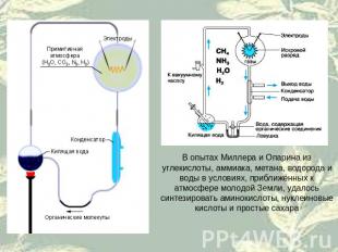 В опытах Миллера и Опарина из углекислоты, аммиака, метана, водорода и воды в ус