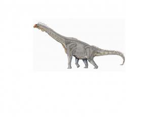 Брахиозавр Брахиозавр (лат. Brachiosaurus; буквально «плечистый ящер») — вымерши