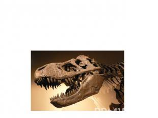 Ископаемые останки динозавров обнаружены на всех континентах планеты. Ныне палео