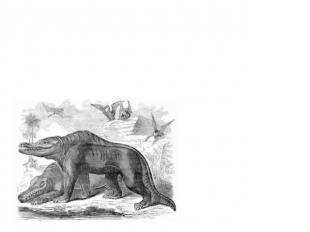 История изучения динозавров В 1842 году английский биолог Ричард Оуэн, констатир