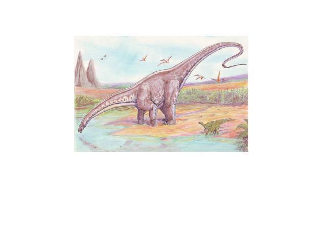 Апатозавр Апатозавр (лат. Apatosaurus, «обманчивый ящер»), более широко известный как бронтозавр — вымерший род ящеротазовых динозавров, живших в поздне юрском периоде (около 157-146 миллионов лет назад) на территории нынешней Северной Америки. Один…