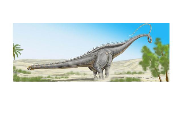 Диплодок Диплодок (лат. Diplodocus) — род ящеротазовых динозавров из группы зауропод. Первый окаменелый скелет был найден в 1877 году в Скалистых горах (Колорадо) палеонтологом С. У. Уилистоном (Samuel Wendell Williston). Позже были обнаружены и дру…