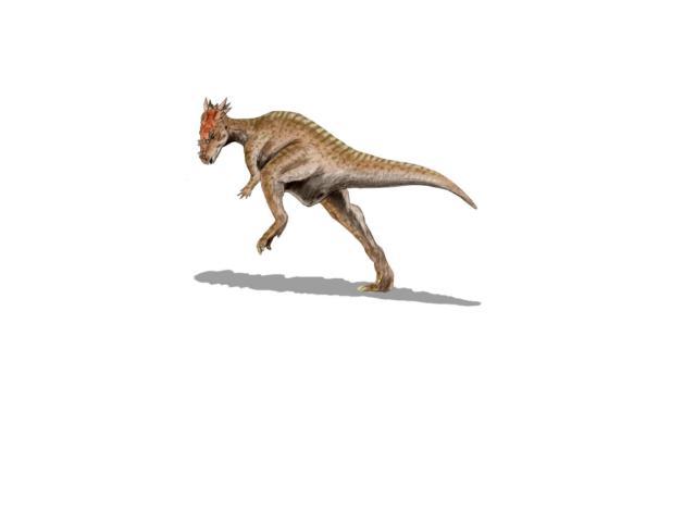 Пахицефалозавр Пахицефалозавриды (лат. Pachycephalosauridae), так же Tholocephalidae — семейство птицетазовых динозавров, живших в меловом периоде (около 145 - 65 млн лет назад). Вид, давший название семейству, Pachycephalosaurus canadensis — растит…