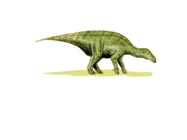 Игуанодонт Игуанодонт, также игуанодон (лат. Iguanodon) — род растительноядных птицетазовых динозавров, живших в первой половине мелового периода 140-120 млн. лет назад на территори современной Европы, Северной Америки, Азии, Африки. Был открыт в 18…