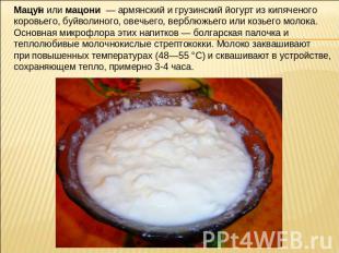 Мацун или мацони — армянский и грузинский йогурт из кипяченого коровьего, буйвол