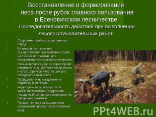 Восстановление и формирование леса после рубок главного пользования в Есеновичск